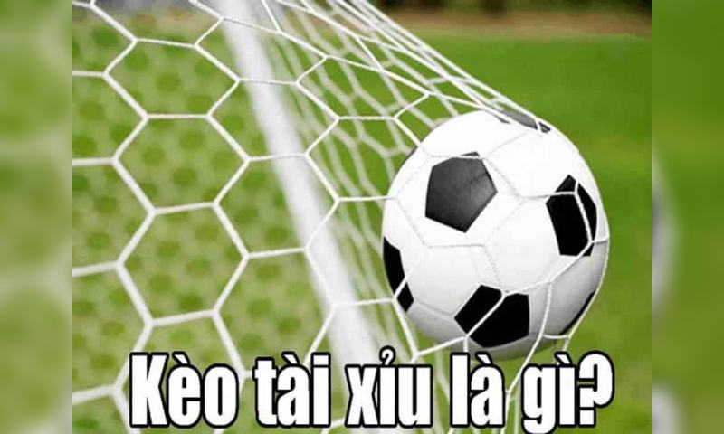 kèo tài xỉu là gì